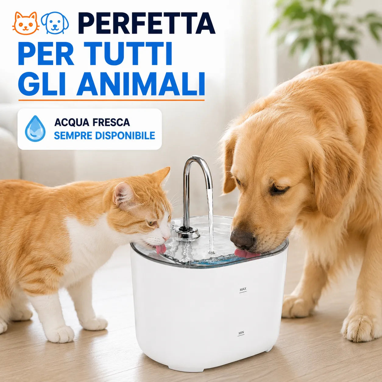 Fontana per animali bianca con beccuccio metallico in vasca trasparente circolare