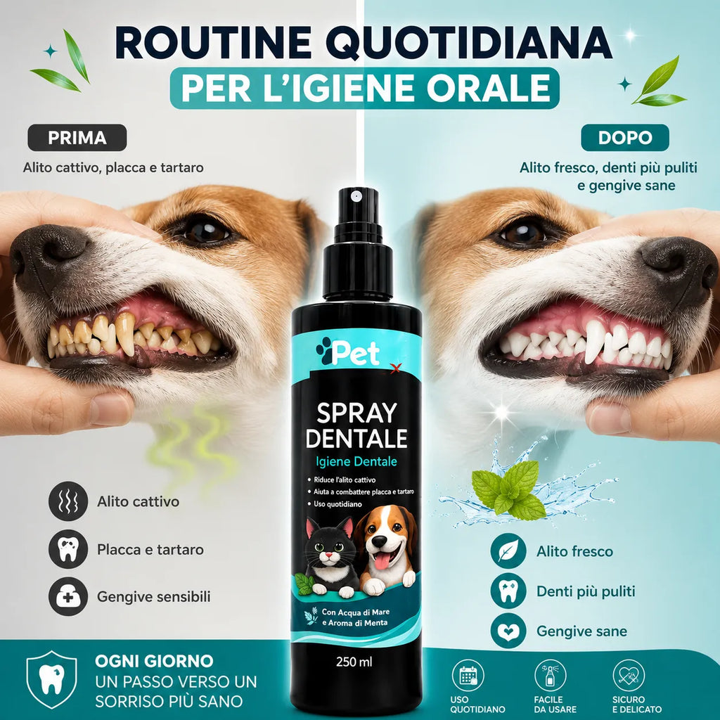 Spray dentale PET SMILE 250 ml con flacone nero e spruzzino per igiene orale