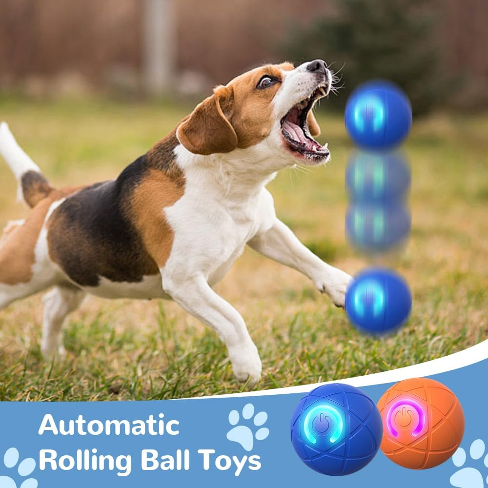 Palla rotante LED blu per cani, sfera in plastica, cane in corsa verso la palla