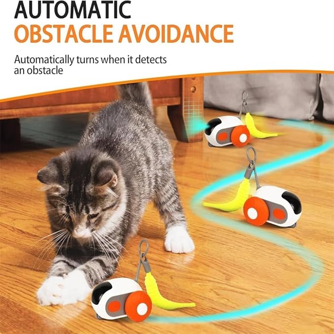 Giocattolo per gatti elettrico bianco e arancione con piuma, gatto vicino su pavimento