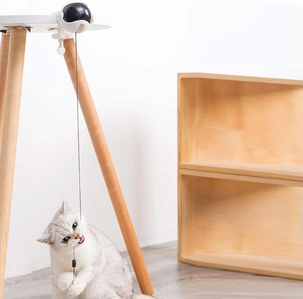 Giocattolo per gatti con palla elettrica sospesa, asta in legno e corda nera