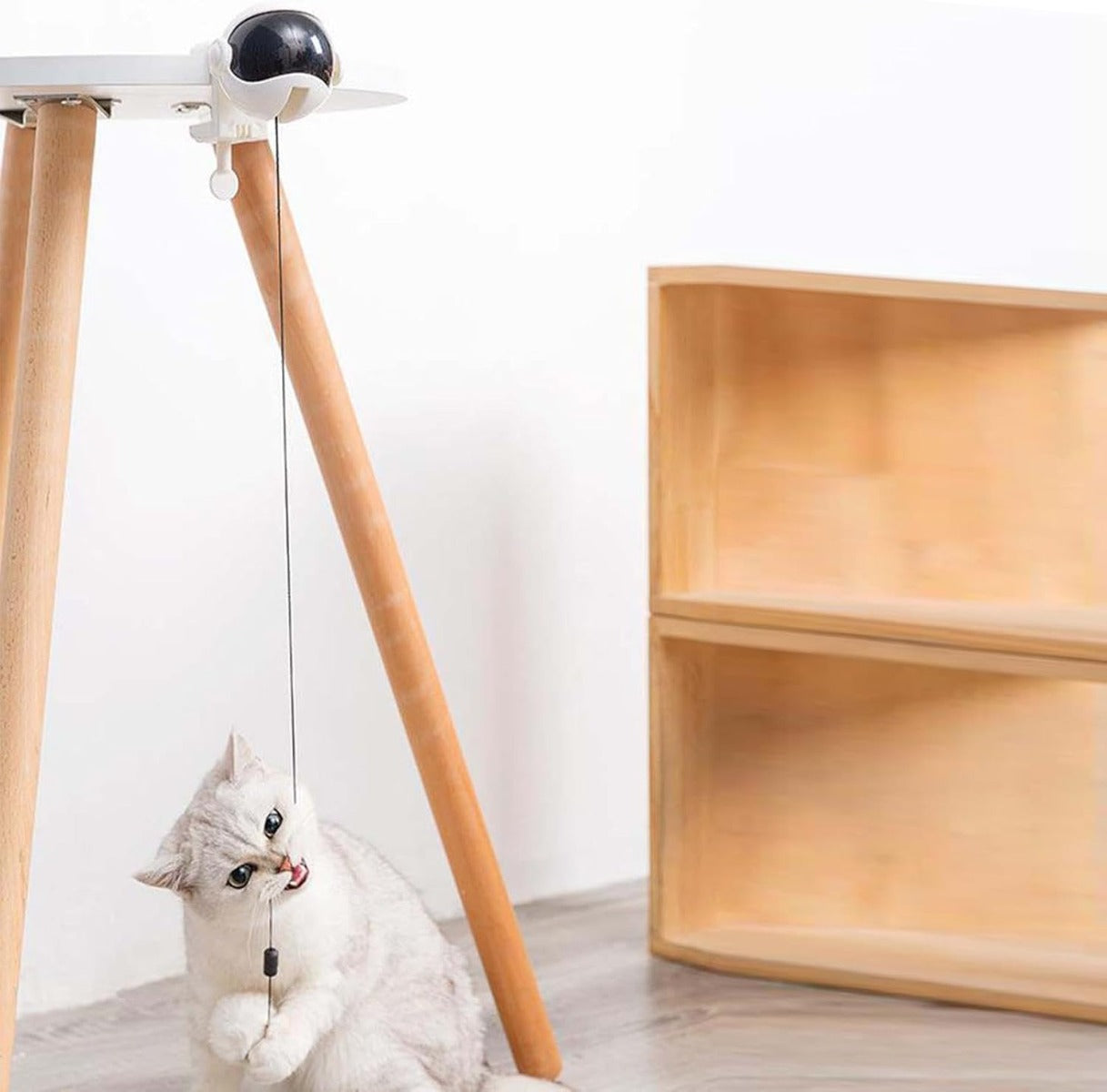 Giocattolo per gatti con palla elettrica sospesa, asta in legno e corda nera