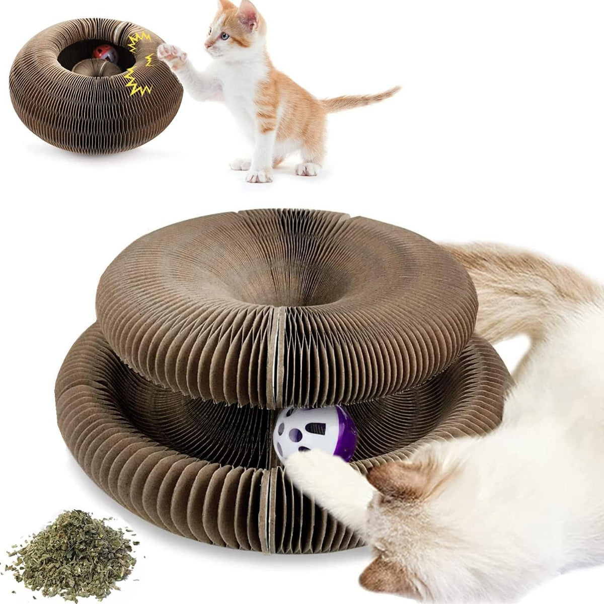 Tiragraffi circolare in cartone con palla viola e spirale, con gattino vicino