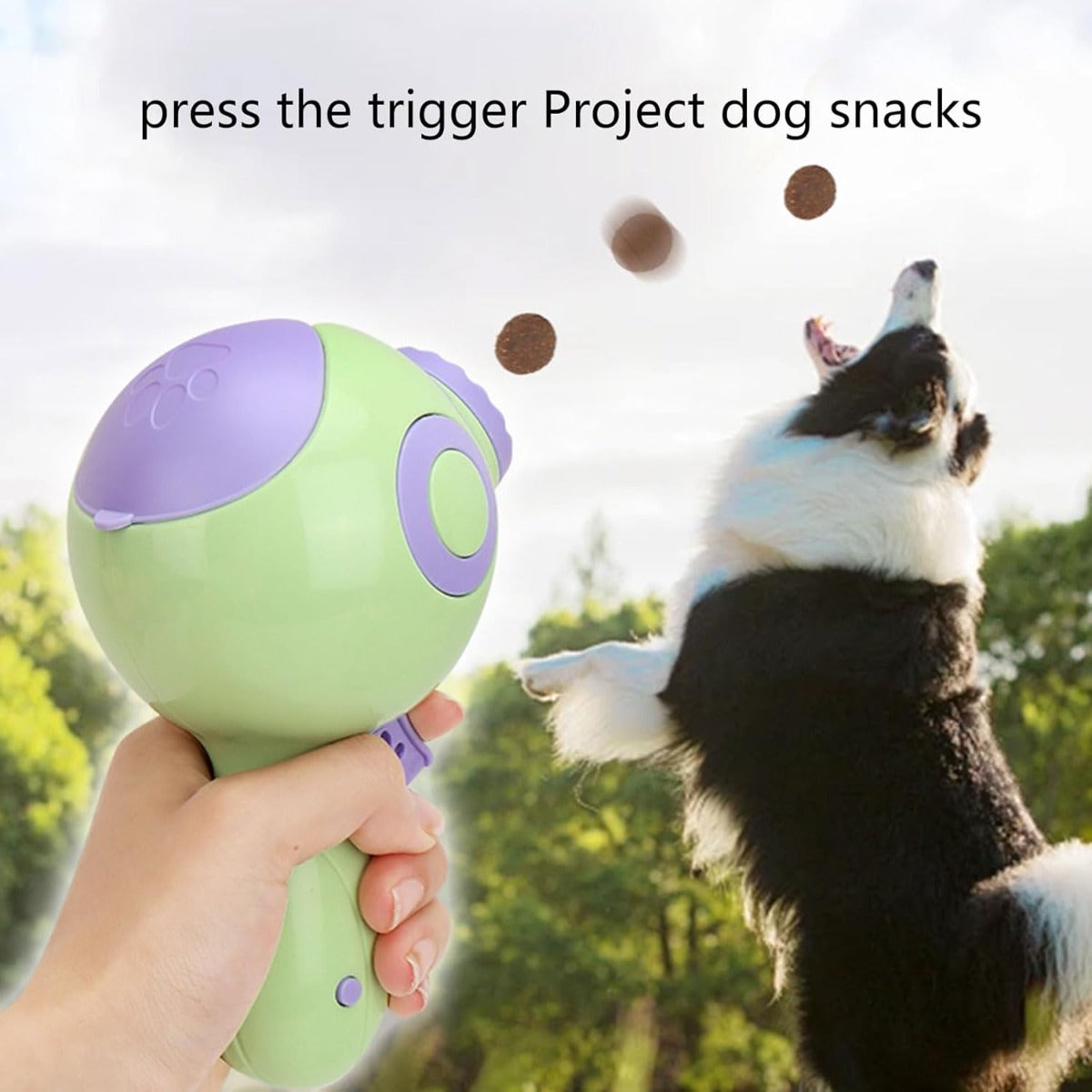 Dispenser automatico per dolcetti per cani verde, coperchio viola e pulsante