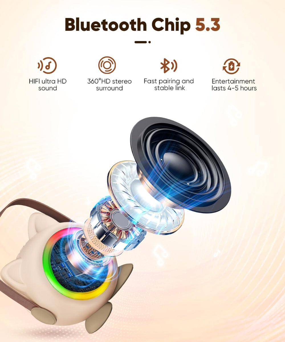 Altoparlante per mini karaoke con luci LED e 2 microfoni wireless, chip Bluetooth 5.3