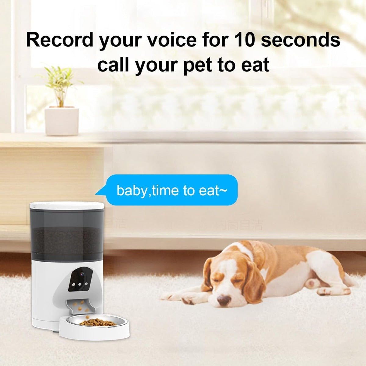 Dispenser Automatico Crocchette Gatto e Cane con Telecamera e WiFi 6L