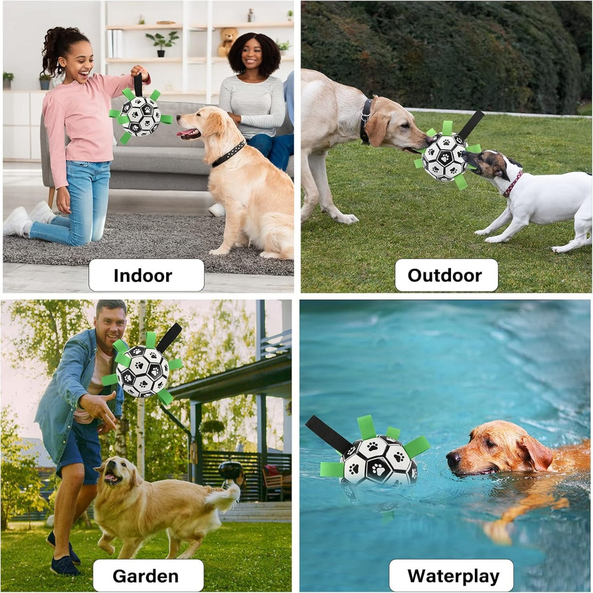 Cane con pallone da calcio nero e bianco con linguette verdi, gioco in acqua