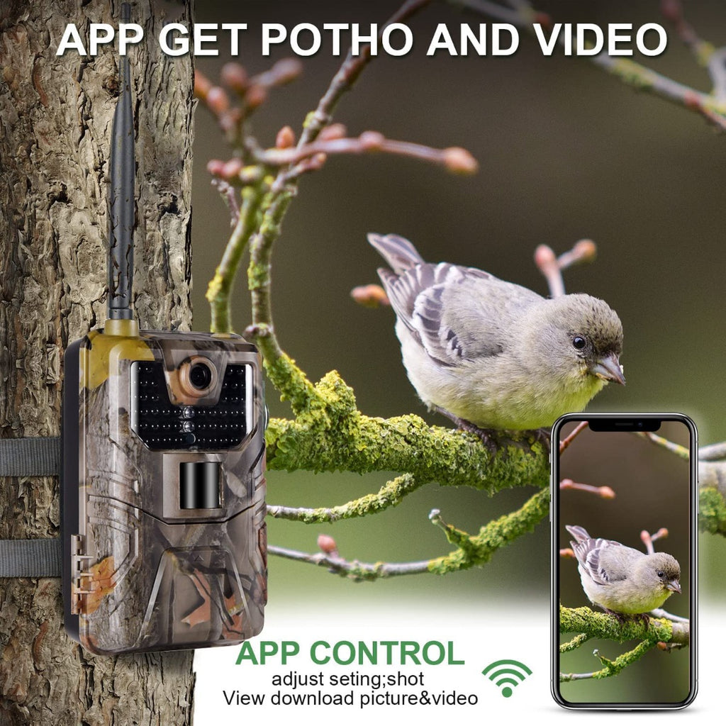 Fototrappola mimetica vicino a un tronco con uccellini e smartphone per controllo app