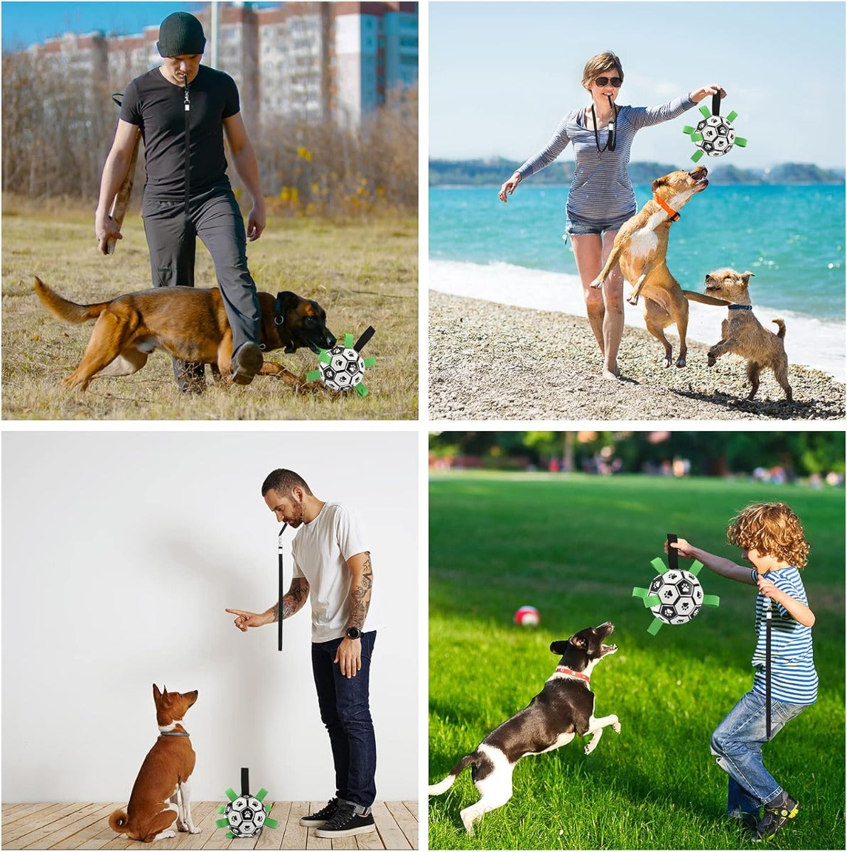 Gioco per cani: pallone da calcio nero e bianco con linguette verdi, cane in azione