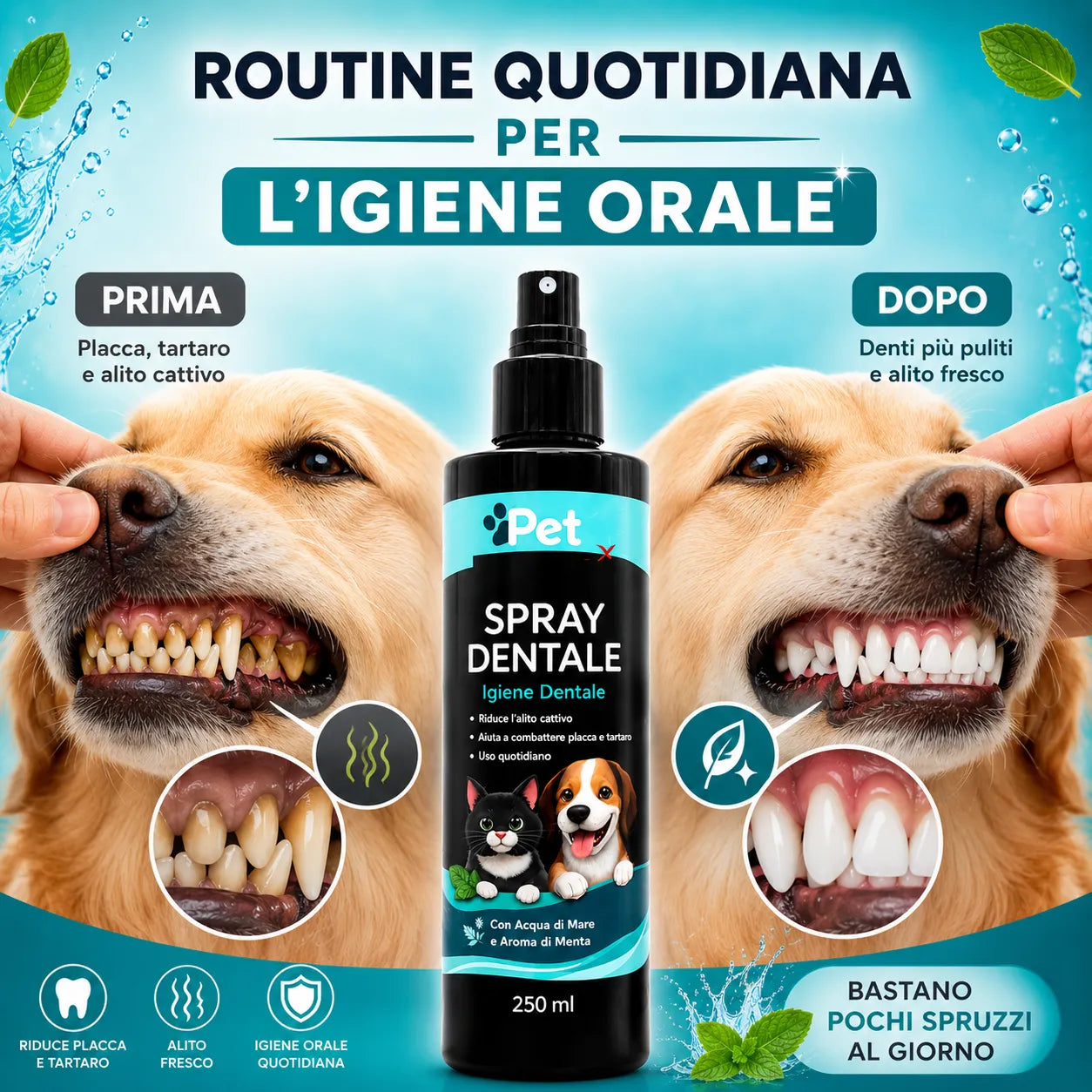 Spray dentale PET SMILE 250 ml per cani e gatti, flacone nero con beccuccio