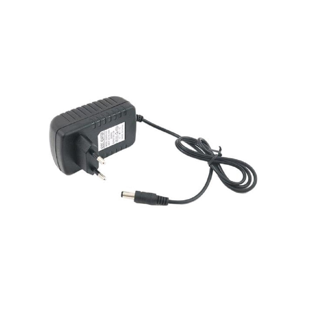 Alimentatore 12 V 2 A con cavo e connettore DC, spine a due pin