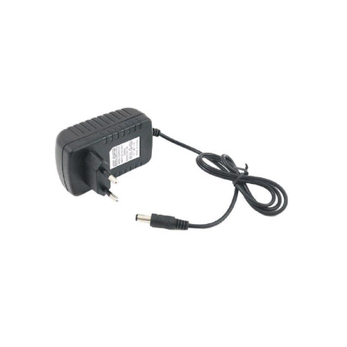 Alimentatore 12 V 2 A con cavo e connettore DC, spine a due pin