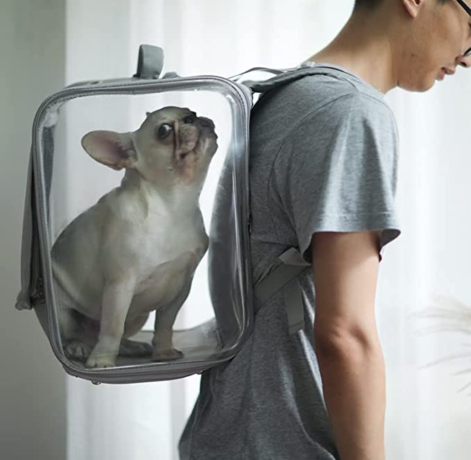 Borsa da viaggio per animali domestici con finestra trasparente e cane di fronte
