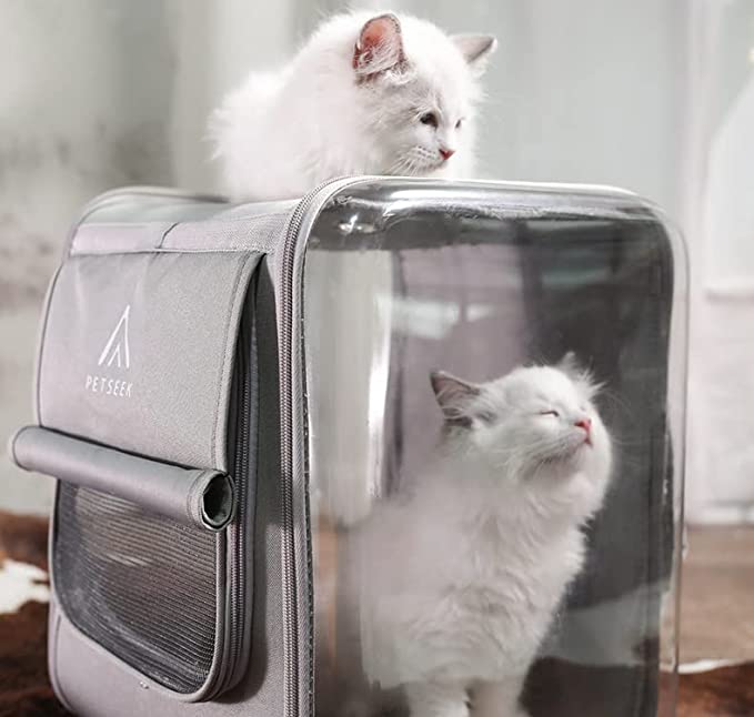 Borsa da viaggio per animali domestici con finestra trasparente e gatto bianco dentro