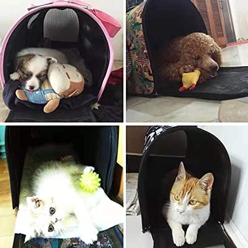 Trasportino per gatti e cani impermeabile zaino per animali domestici per viaggio