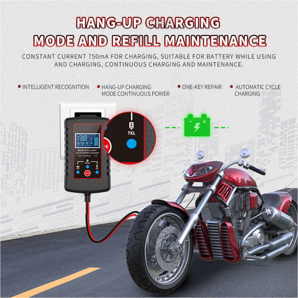 Caricabatterie compatto con display blu, spie e cavi rosso/nero per auto