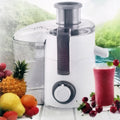 Centrifuga frullatore professionale bianca con bocchetta e contenitore trasparente